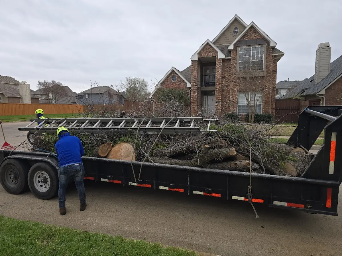 Expert Tree Fertilization with proper safety equipment in Amber